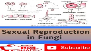 Sexual reproduction/ Fungi/Telomorphic stage