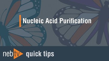 Quick Tips - How can I avoid genomic DNA or RNA contamination in my minipreps?