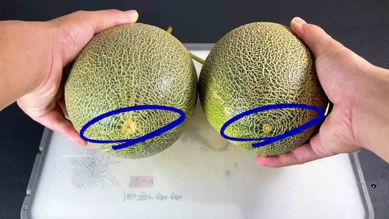 哈密瓜甜不甜，瞧一眼这里就知道，一挑一个准，这几种方法真管用【超子美食】