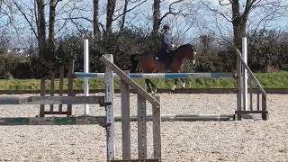 Flat schooling at home