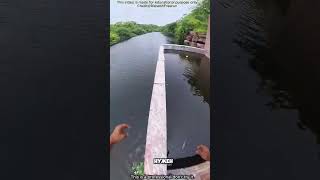 😍🚪Самодвижущаяся штора! Автоматическая магия! 🪄
