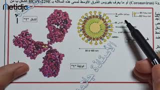 #التمرين السادس لتعلم المنهجية : تمرين رائع حول فيروس كورونا (المناعة) ☢️☣️