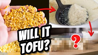 Will MUNG BEANS Tofu? | Mary's Test Kitchen