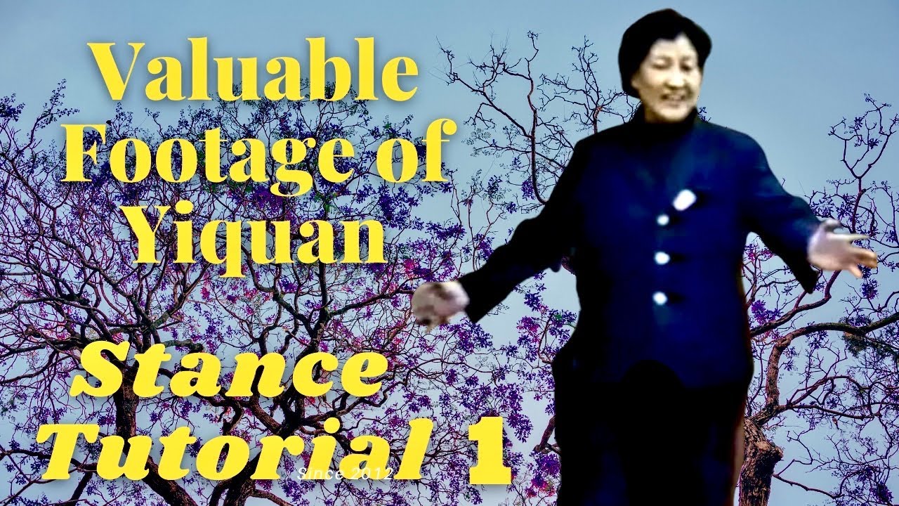 Yiquan Stance Tutorial Part 1 #yiquan #dachengquan #wangyufang