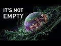 James Webb Discovered a A Perfect Earth-Like Planet — But It’s Already Inhabited