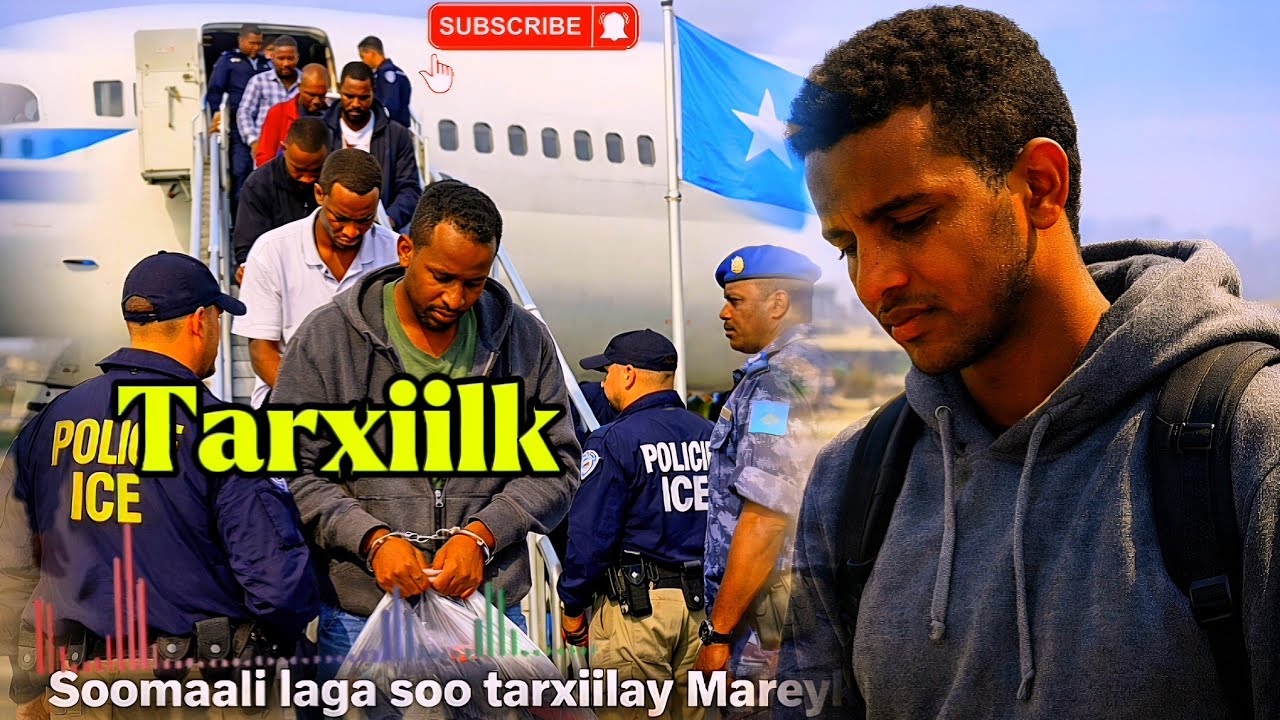 Tarxiilku ma aha oo kaliya in  waayo-aragnimo cashar adag xanbaarsan./