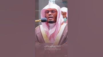من أجمل التلاوات للشيخ: ياسر الدوسري حفظه الله