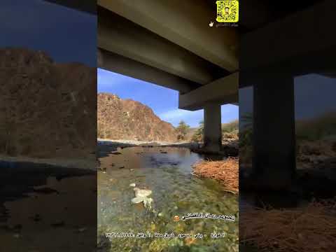 ما شاء تبارك الرحمن الفواره بني مسعود وادي حوره تصوير ريان اللقماني الموافق 13 11 1445هـ امطار