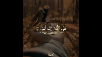 وما توفيقي إلا بالله|| تلاوة رائعة جميلة تريح القلب💎القارئ#مشاري_العفاسي #سورة_هود #حالات_واتساب💞