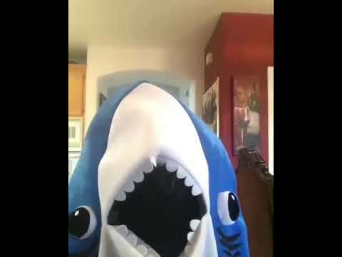 Baby Shark Vida Real Youtube