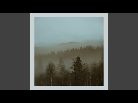 Foggy Sunday