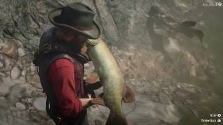How To Quickly Catch A 19lbs Fish (Survivalist 9) - RED DEAD REDEMPTION 2