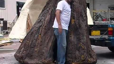 How to Build a Realistic looking tree for a prop