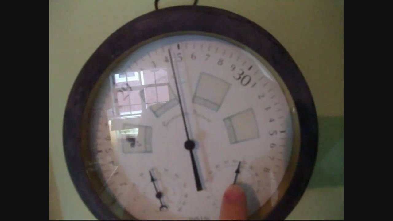 watershed End of week 4 garden update