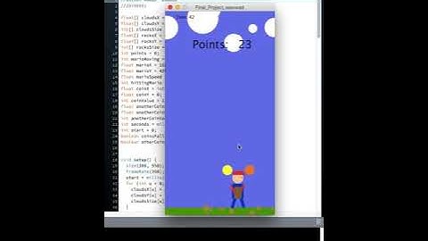 CS 105 Final Project