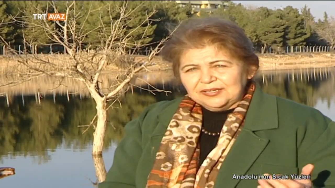 Gaziantep'ten Bir Müzik Sevdalısının Hikayesi - Anadolu'nun Sıcak Yüzleri - TRT Avaz