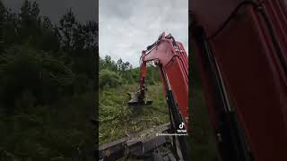 (Part 2) cleaning up around a deer camp with vmc exg42 brush cutter and Kubota excavator