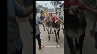 Jbr-Group 2023 Waiting Earuthukattu Rasigan