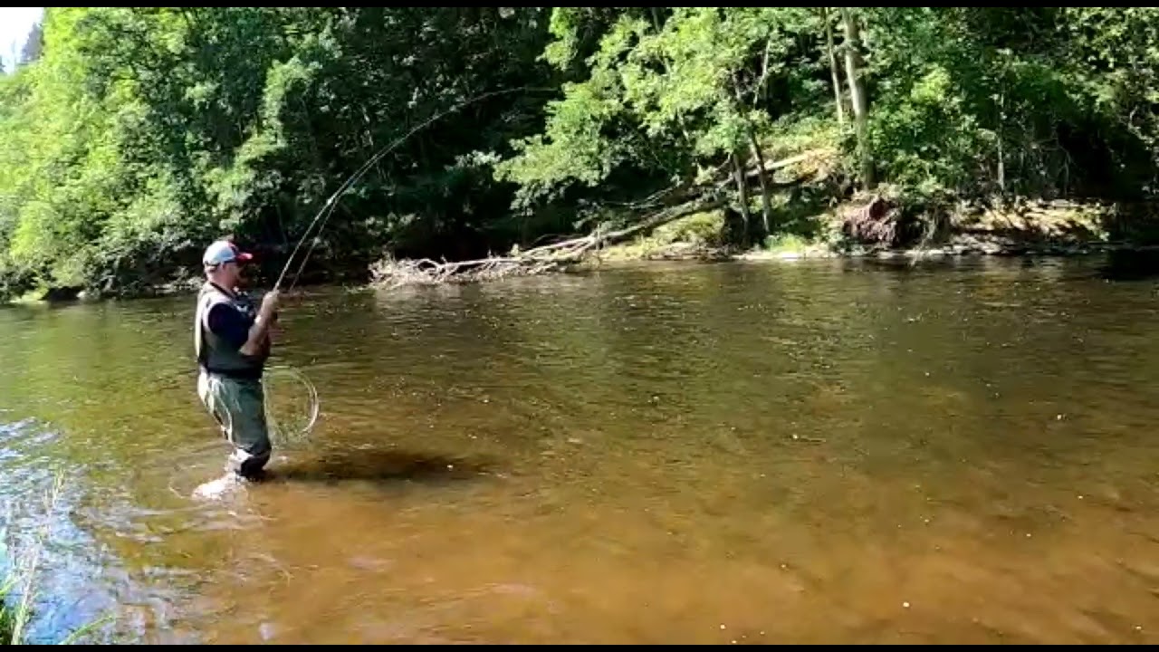 Rzeka L'Ourthe jak zwykle nie zawodzi ...