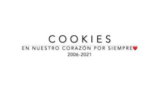A Tribute to Cookies 🐕‍🦺❤️🍪 Forever In Our Hearts