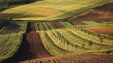 Jak pěstovat rostliny na orné půdě?