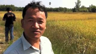 Myanmar Farm Project for Orphans Dec 2013