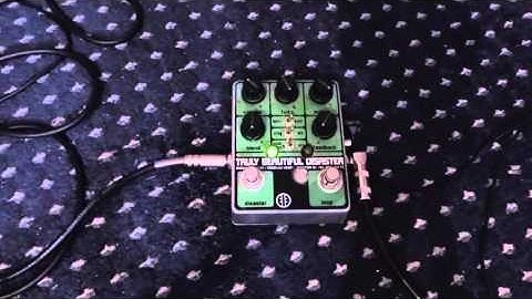 Effector 13/Devi Ever Truly Beautiful Disaster