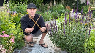 How to Stake Tall Perennials (No Metal Required) | Perennial Garden