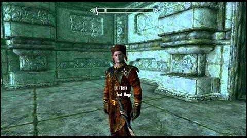 The Skyrim Navmesh Bug