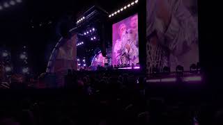 TRUSTFALL - P!NK | Pinkpop 17-06-2023