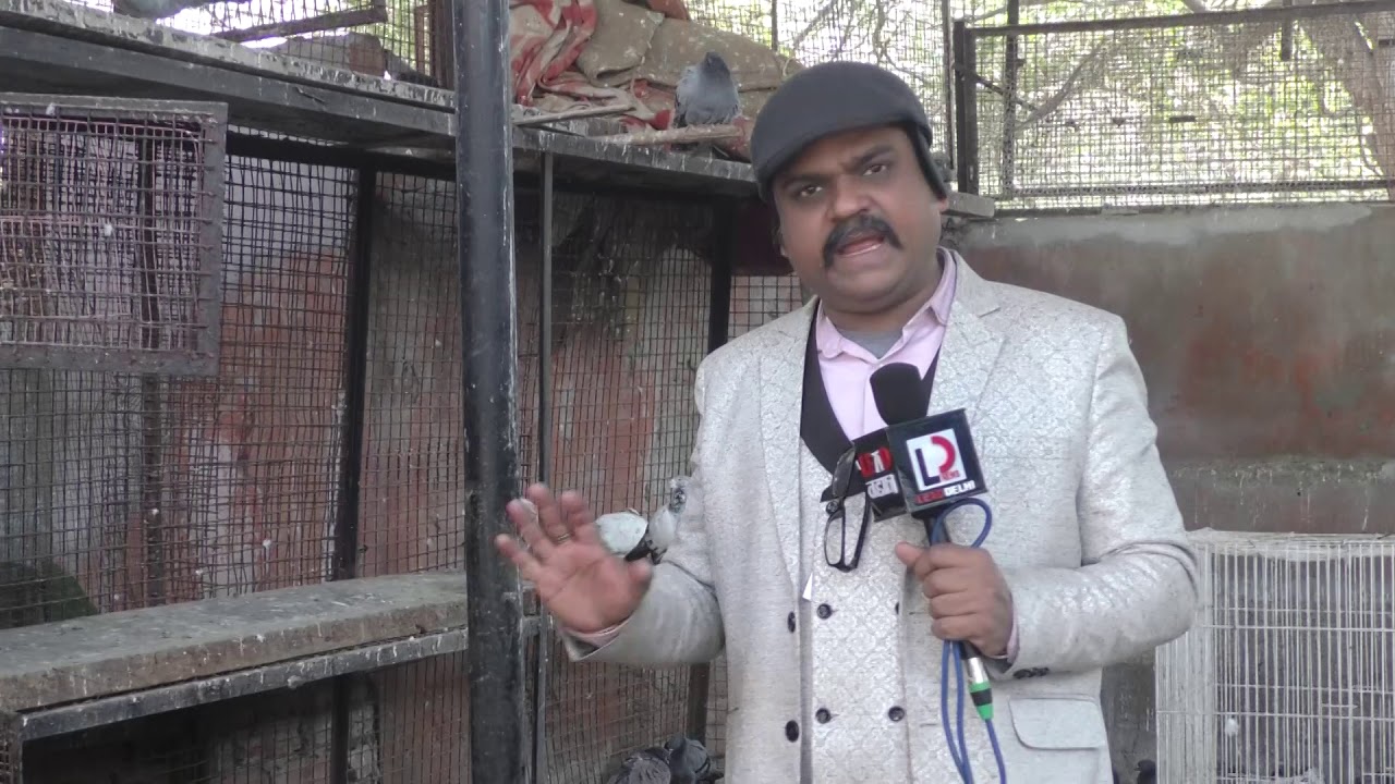 Sanjay Gandhi Animal Care Centre | Lead Delhi | leaddelhi - YouTube