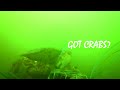 Here's What Happens to your Crab Snare (footage worth the risk!)