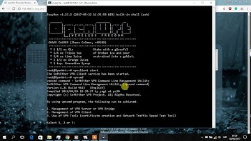 Cara menjalankan SoftEther VPN Client di OpenWrt
