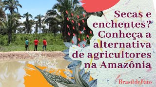 Secas e enchentes? Conheça a alternativa de agricultores na Amazônia | Bem Viver