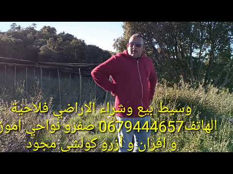 فيرمات للبيع نواحي صفرو اموزار و إفران و أزرو 0679444657