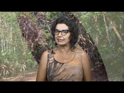 13   Mitigação dos riscos