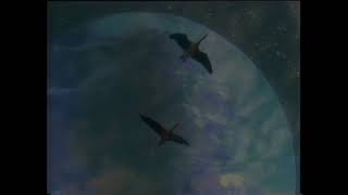 Boards Of Canada - You Retreat In Time And Space (fan made music video)