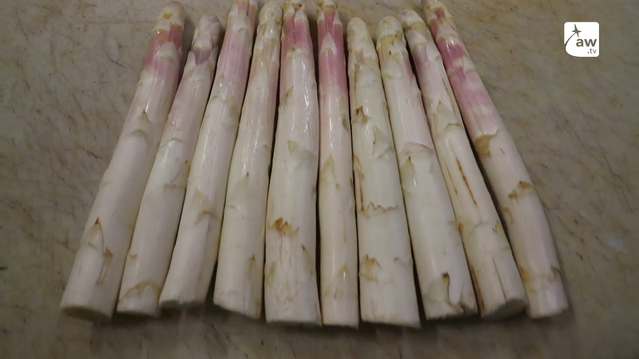 À la découverte de l’asperge des sables