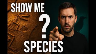 Micro vs Macro’ Crumbles—Live Speciation Evidence