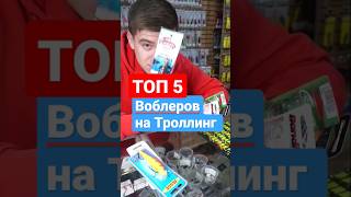:    # # # #