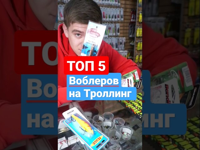 Троллинг на рыбалке #рыбалка #судак #окунь #щука