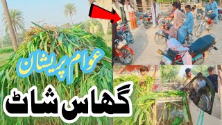 گھاس شاٹ عوام پریشان ہیں ۔أج ایک نیو ویڈیو ۔سجاول گوٹ فارم کی ۔