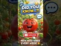 🍅 “मैं टमाटर हूँ रे 😂 | Funny Talking Tomato Video”