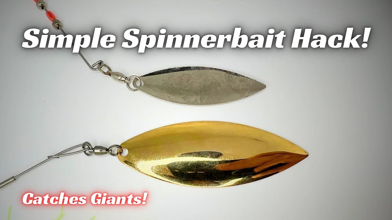 Best Spinnerbait Hacks