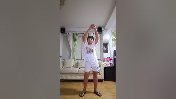 Performance task Computer 8-aristotle