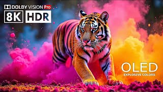 True 8K HDR - OLED Dolby Vision Demo (8K Video ULTRA HD) 120 FPS