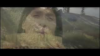 The Lonely Shepherd - Leo Rojas - Pastor Solitário - Der einsame Hirte - RDO Video remake