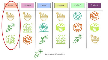 Introducing the FABLE Profile Tool