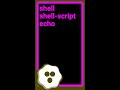 Shell script echo new line to file #shorts