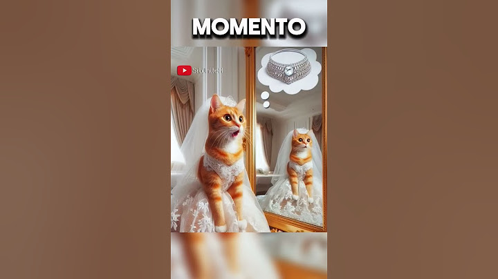Nadie QUIERE A La GATITA Y Su HERMANA Hizo ESTO!